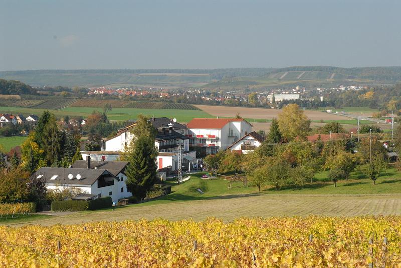 29580006.JPG