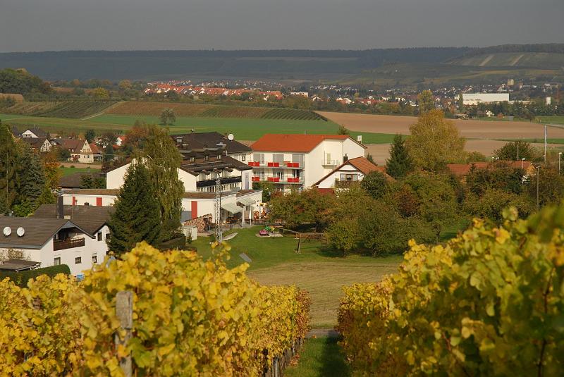 29580134.JPG